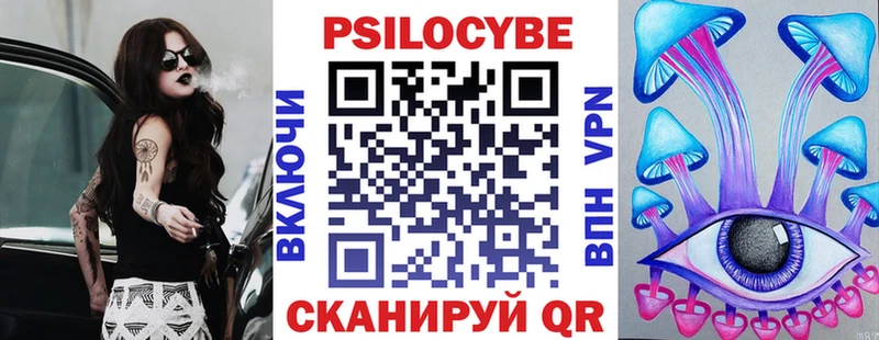 купить  цена  Асино  Галлюциногенные грибы Psilocybe 