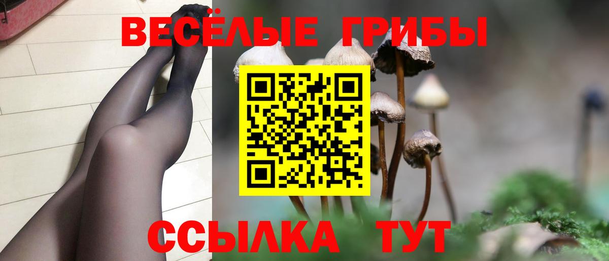 Асино  Псилоцибиновые грибы ЛСД  Псилоцибиновые грибы мухоморы  Вход с VPN 