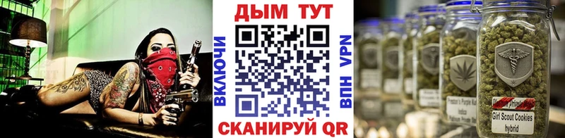 darknet Telegram  Асино  Каннабис конопля 